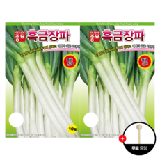 아시아종묘 대파 흑금장파 10g (4500립) 씨앗 종자, 2개