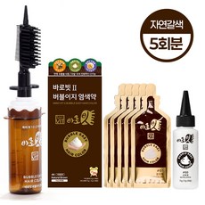쉽고 빠른 국산 특허 바로빗 2 브러쉬 용기세트 + 염색약 5회분, 1개, 자연갈색