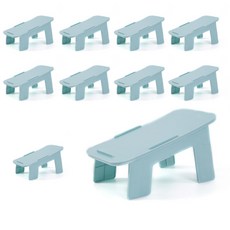 래븐 베이직 더블 레이어 슈즈 랙, 민트10개입