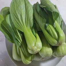 [씽씽팜] 당일수확 국내산 청경채, 1개, 6kg