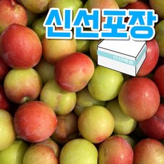 [50박스한정] 대석 자두 농장직송, 1박스, 2kg (상)