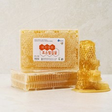 제주상회 산지직송 한라산 천연 프리미엄 벌집꿀, 500g, 1개
