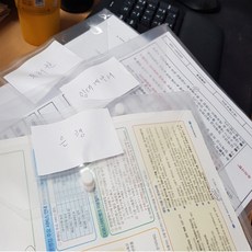 日常文件文件整理用分類文件夾 20個, 透明