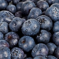 탱탱한 고당도 블루베리 생과, 1개, 블루베리 14-16mm 4팩 (한팩 125g내외)