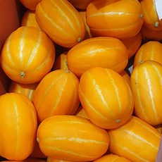 [아침과일향기] 고당도 꿀참외 성주 산지직송 가정용실속참외, 1박스, 5KG(가정용실속참외 소과)