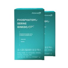 진스샵 포스파티딜세린 PS 징코 아연 비타민 B 1 2 6 포스타티세린 제품 영양제 60 캡슐