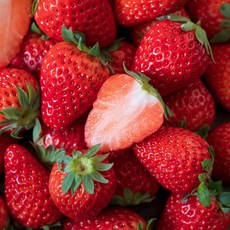 설향딸기 500g, 1개, 상 (24개입 내외)