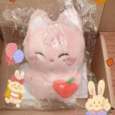 台灣出貨 enhypen 金善禹 韓推娃 棉花娃娃全新10cm 薄巧豆努 桃子豆努 NCT周邊飾品 應援 快閃, 1個