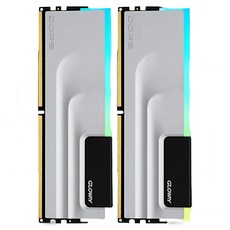 글로웨이 신무 DDR5 하이닉스 A다이 RGB 데스크톱 메모리 16GB 6400MHz C30 2개입, 1개, GW6400N16G-GA 1개, GW6400N16G-GA