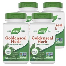 네이쳐스웨이 골든씰 허브 회당 700mg 비건캡슐, 100정, 4개