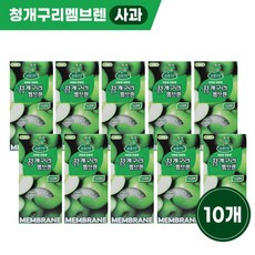 청개구리 차량용방향제 멤브렌(10개)1SET 사과향x10, 1세트, 사과향(10개1SET)