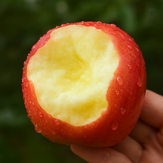 [하루특가] 초고당도 못난이 부사 사과 초특가, 1박스, 5kg