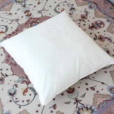 아트박스/샤이닝홈 러프 소파 고급 방석 솜 50x50 2P, 본품