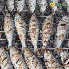 온미락 고흥 전어 생물 실중량 1kg 12-16미 빙장포장 산지직송, 구이용(실중량 900g/냉동)