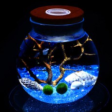 오스틴샵 LED 코르크 유리병 (12x13cm) 마리모어항, 1개