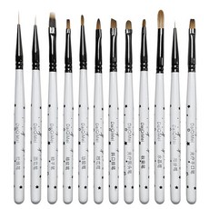 日式星空美甲筆套裝：拉線筆、畵花筆、光療筆，多功能美甲工具組，打造專業級美甲, 1個, 十二支套裝