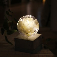 베이비 알로하 팟 LED 무드등, 베이비 알로하팟