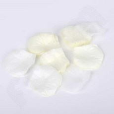 꽃잎 컨페티 아이보리 100장 웨딩촬영컨페티