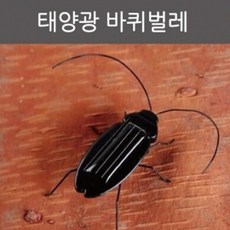 태양광 진동 곤충로봇 바퀴벌레 과학 장난감 초등 학생 에듀 관찰 작동 체험 구동 방과후 유치원 과학놀이