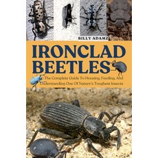 (英文圖書)Ironclad Beetles: The Complete Guide To Housing Feeding And Understanding One... 平裝版, Independently Published, 英文