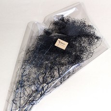 화연양화 프리저브드플라워 안개꽃 미니안개 13색, 13 블랙