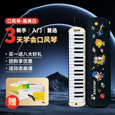 口風琴 口吹琴 37鍵 32鍵 37音 樂器 吹管 吹嘴 吹奏樂器 鍵盤樂器 37鍵口風琴白色款專業初學兒童成人學校推薦, T37 白色款, 1個