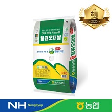 최근도정 농협정품 GAP인증 25년 햅쌀 철원 오대쌀 [상등급] 단일미 백미 농협쌀, 10kg, 1개