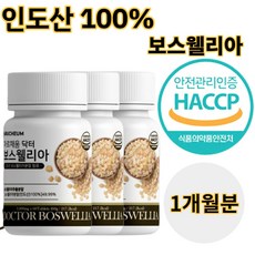 식약청인정 인도산 관절보스웰리아 식약청인증 보스벨리아 보수엘리아 보스윌리아 웰니아 유향나무수액 항염증 프랑킨센스 나무 수액 버드나무가지껍질추출분말 치커리분말 정 1000mg 60정, 1박스