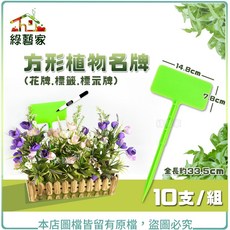綠藝家 方形植物名牌 10支/組