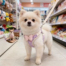 강아지 리드줄 조끼형 달콤한 스타일 탈출 방지 소형견용