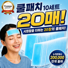 초특가 (1세트 2개입) 냉각패치 시원한 붙이는 아이스쿨패치, 20개