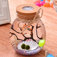 다있으예 LED 코르크 마리모 키우기 유리병 수경식물