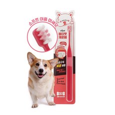 寵愛生活本舖韓國ETIPET寵物清爽牙刷 狗貓適用 溫和清潔口腔, 1個, 窄角牙刷