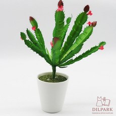 KC 다육이조화 선인장 가짜선인장