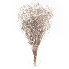 [데코몰] 프리저브드 플라워 미니 안개 파우더, 퍼플