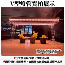 君沛植物燈 一體式 T8植物燈管 紫外線, 1個, V型 4呎 加強型光譜+UVA