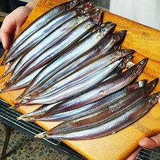 특A급 선별 제철 햇 양미리 동해 묵호항 생물 양미리 알배기, 1세트, 급냉처리 양미리 1kg(30-33미내외)