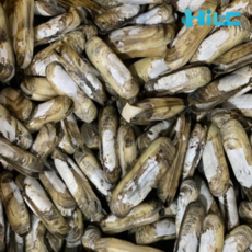 하이조개 순천만 맛조개 제철 캠핑 조개구이, 1개, 급냉 맛조개 400g (15미 내외)