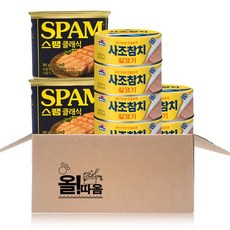 올따옴햄참치기획 스팸클래식340g 2+사조살코기참치100g 6, 100g, 1세트