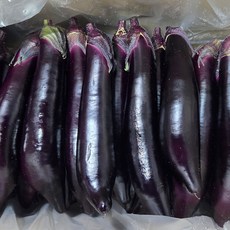 국내산 가지 특품 1개 5Kg 30개입 8Kg 50개입, 1박스