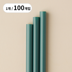 지구사랑 친환경 생분해 일자 옥수수 PLA 빨대 벌크 포장 무지 그린 21cm, 1개, 100개입