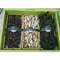 산나물세트A [원산지:국산(전라남도 광양시)], 1개