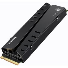 Fanxiang S770 1TB NVMe M.2 SSD (PS5용) - 방열판 및 DRAM 포함 최대 7300MB/s PCIe 4.0 PS5 메모리 확장 게임 애호가
