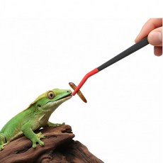 파충류 피딩 핀셋 피딩용 도마뱀 집게 실리콘팁 16cm 25cm, 1개, B. 250mm