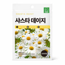 [주주씨앗] 샤스타데이지 씨앗 2000립 / 노지월동 다년생 야생화 꽃씨 씨앗몰, 1개 1개