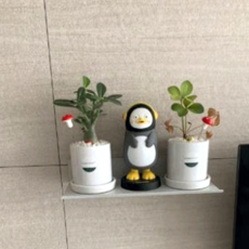 티라미슈 아트월 선반 국산 대리석 벽선반 무타공선반 다용도선반, 밀크화이트, 1단