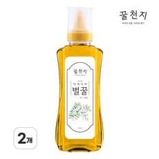 꿀천지 아카시아꿀 벌꿀, 2개, 300g