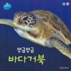 엉금엉금 바다거북 - 올챙이 자연동화 (보드북), 상품명