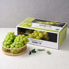 샤인머스켓 선물세트, 1박스, 샤인머스켓 선물세트:2kg 4송이내외