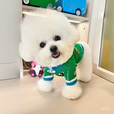 廠家直發2023秋冬新款單排扣原創韓係西施泰迪小型犬貓咪秋冬塗鴉撞色毛衣 GEHX, 綠色,S, 1個